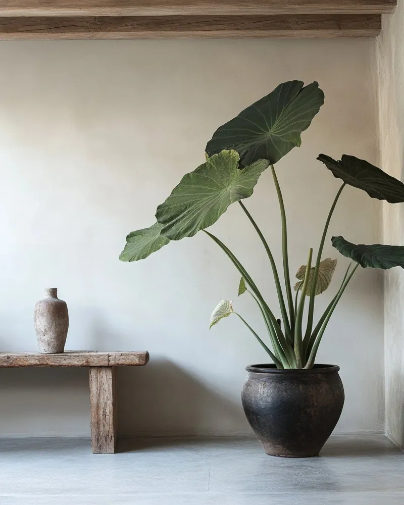Verde lussureggiante tela con Cornice a cassetta da PhotoVibe Decor