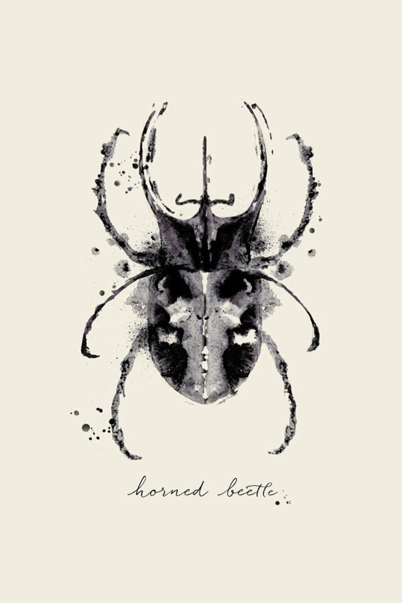 Ink Horned Beetle poster by Flora & Fauna