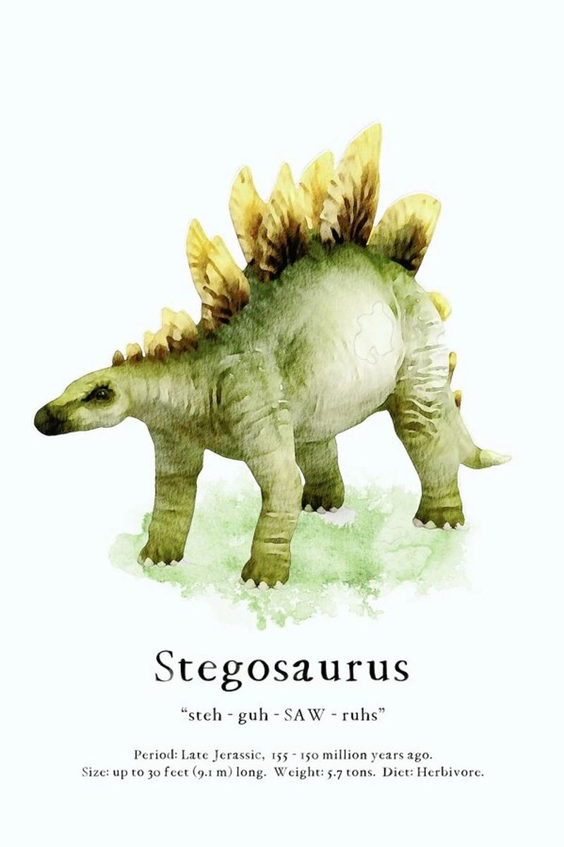Stegosaurus poster de Lila x Lola