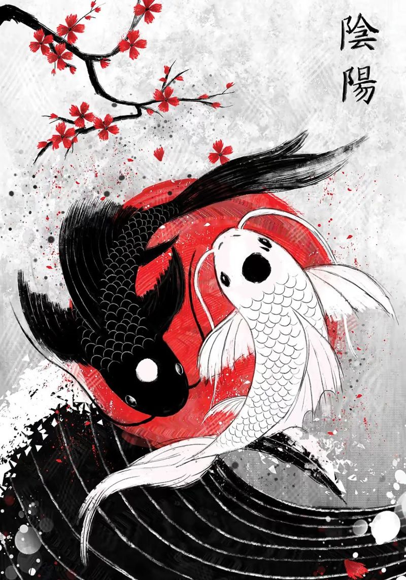 Pesce Koi Yin Yang RubyArt pellicola backlit da Chad Cunningham