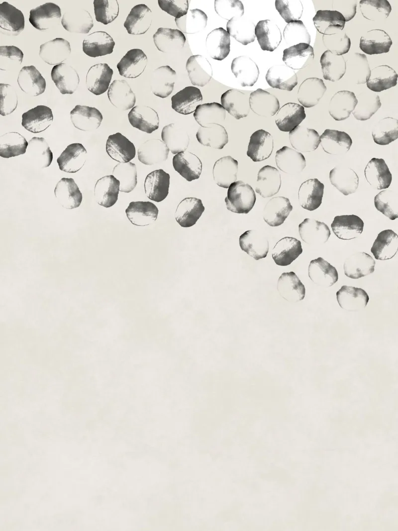 Forme di cerchi carta hahnemühle da Imaginative