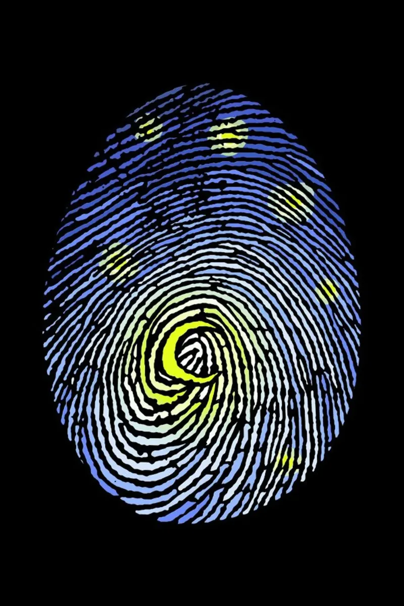Aurora Fingerprint pellicola backlit da Tobe Fonseca