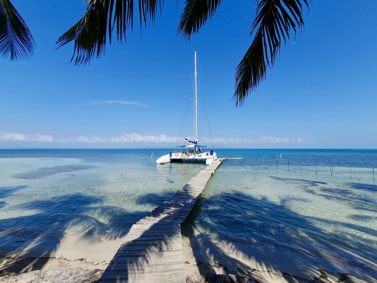 Insel in der Karibik, Cuba, Motiv 2 Forex-Platte von ZAMART - Fotografie