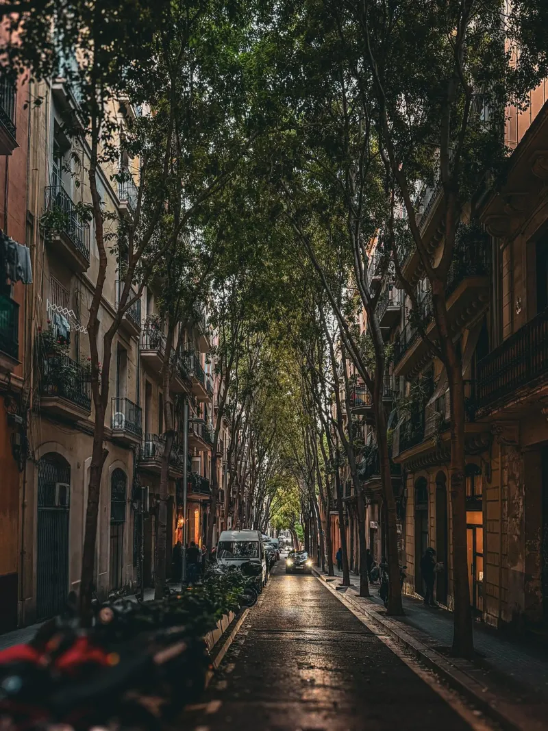 Under the Trees – Streets of Barcelona II pellicola backlit da Thilo Grøsch