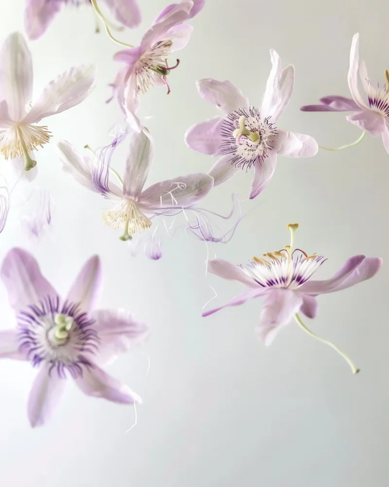 Botanique flottante plexiglas de PhotoVibe Decor