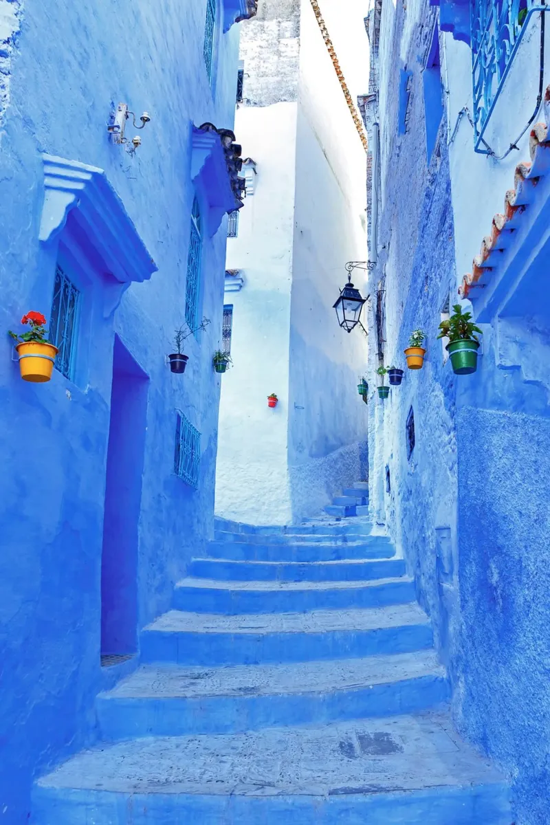 Chefchaouen, the blue city in Morocco forex plate by TheTravelClub