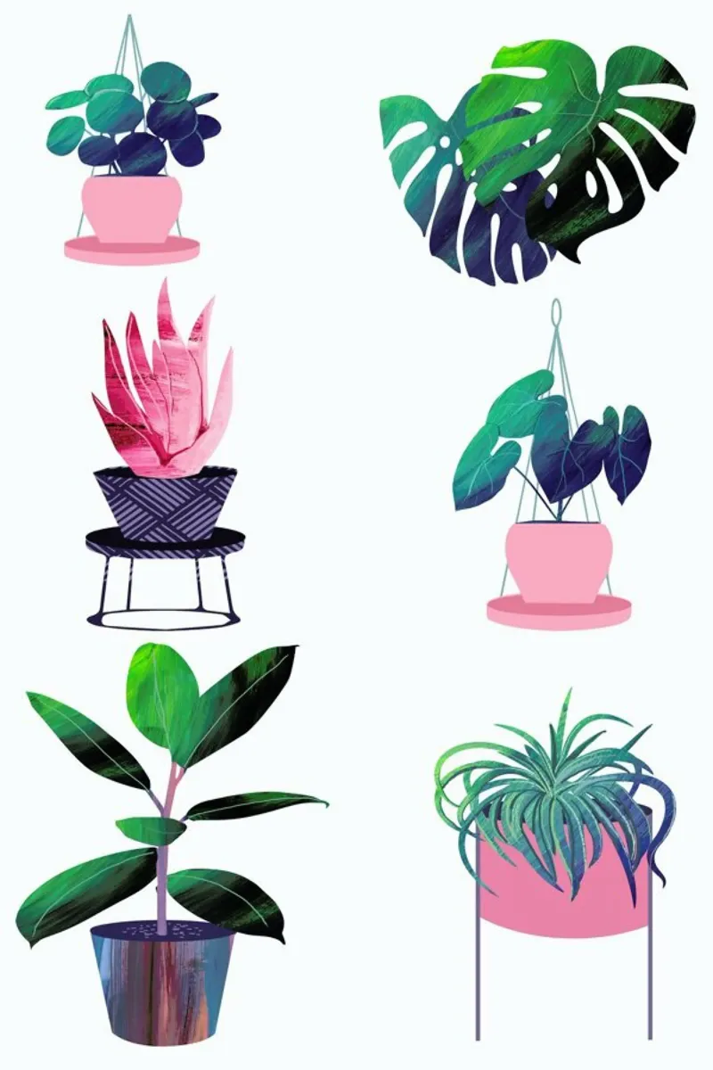Pink and Green Houseplants pannello forex da Rocket68