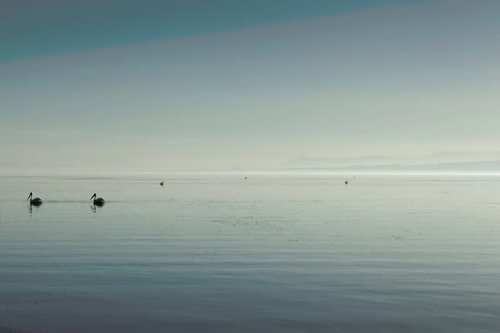The Salton Sea poster avec cadre en aluminium de Marc Gruninger