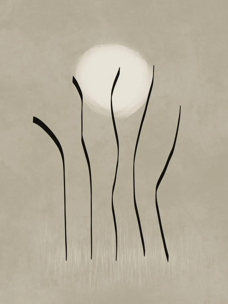 Dancing in the moonlight in brown pellicola backlit da Imaginative
