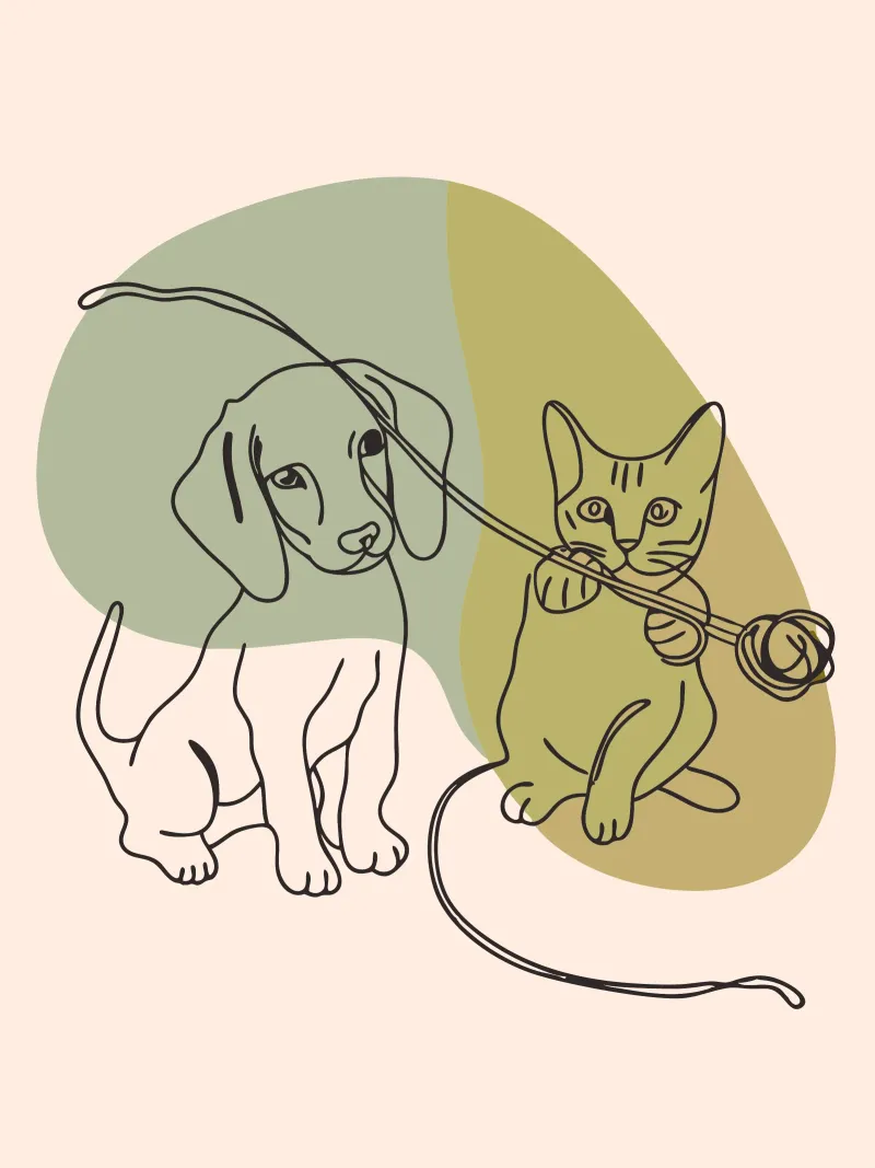 Cani e gatti poster da RELAXING TOUCH