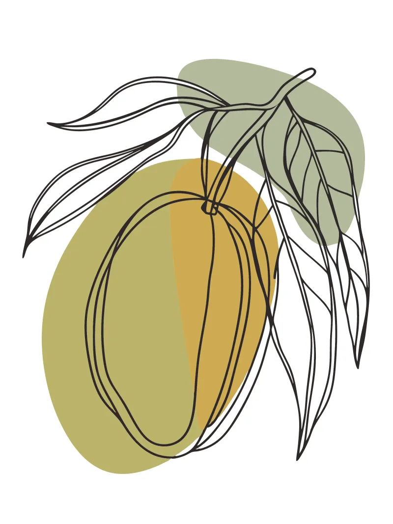 Minimalist Mango Fruit canvas with Floater frame by RELAXING TOUCH