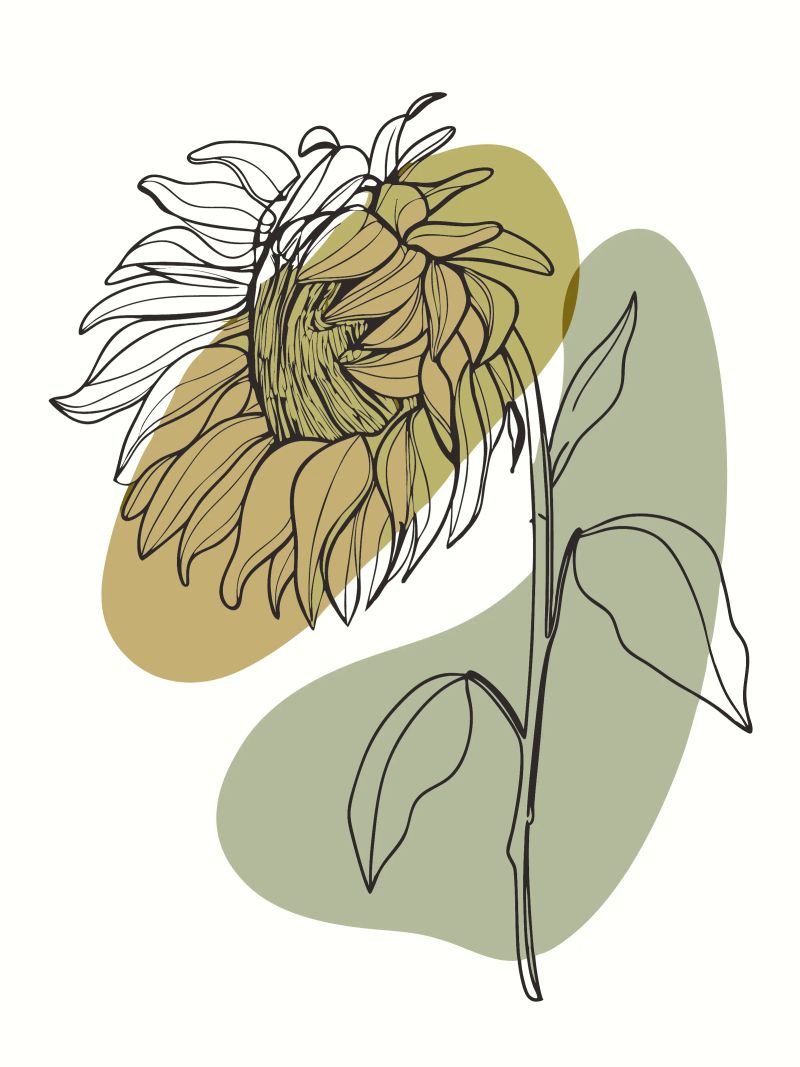 Minimalist Sunflower poster by RELAXING TOUCH