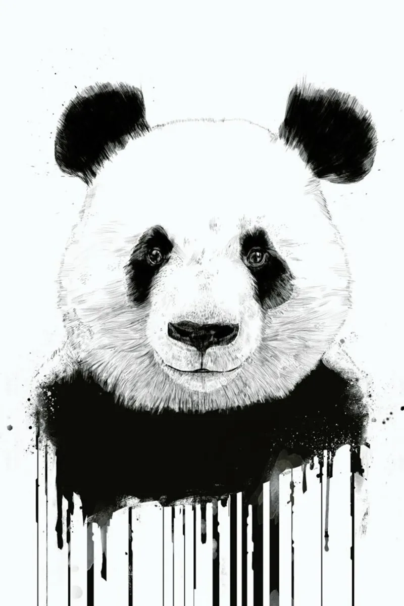 Graffiti Panda pellicola backlit da Balazs Solti