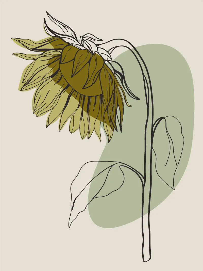 Girasole minimalista pellicola backlit da RELAXING TOUCH