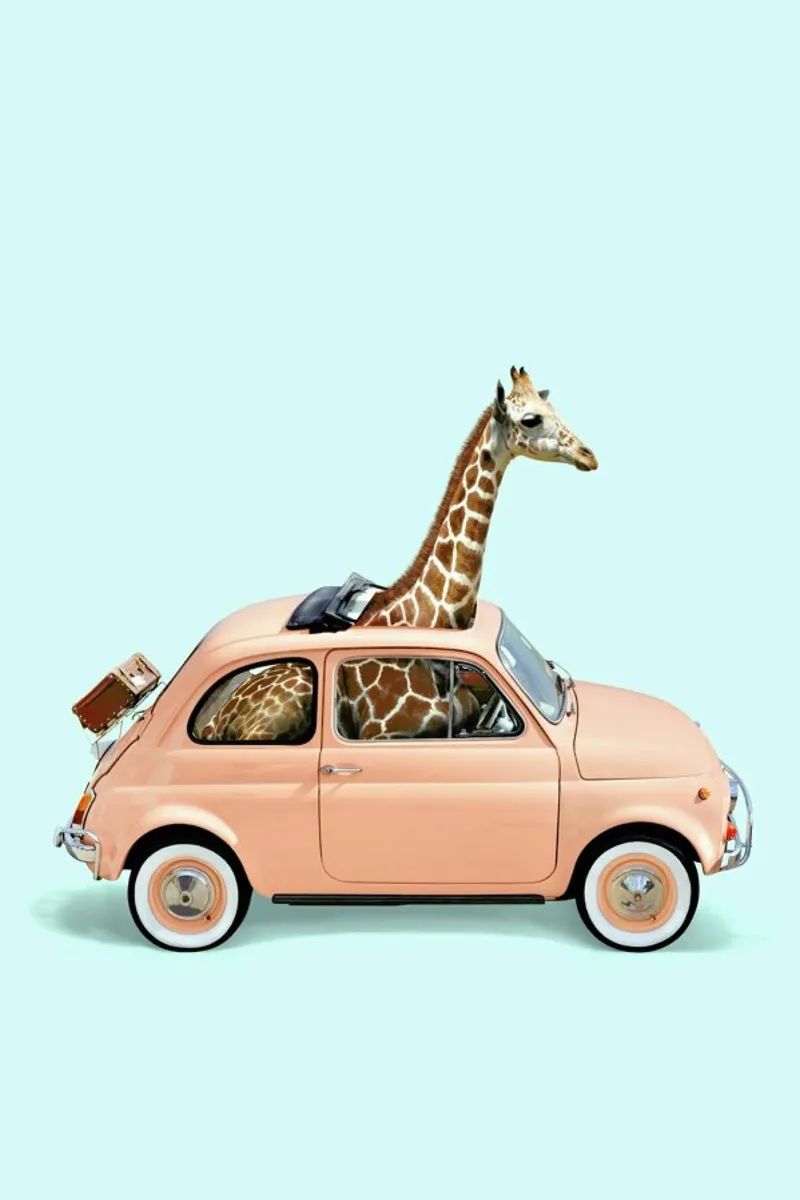 Giraffe Car pellicola backlit da Paul Fuentes Design