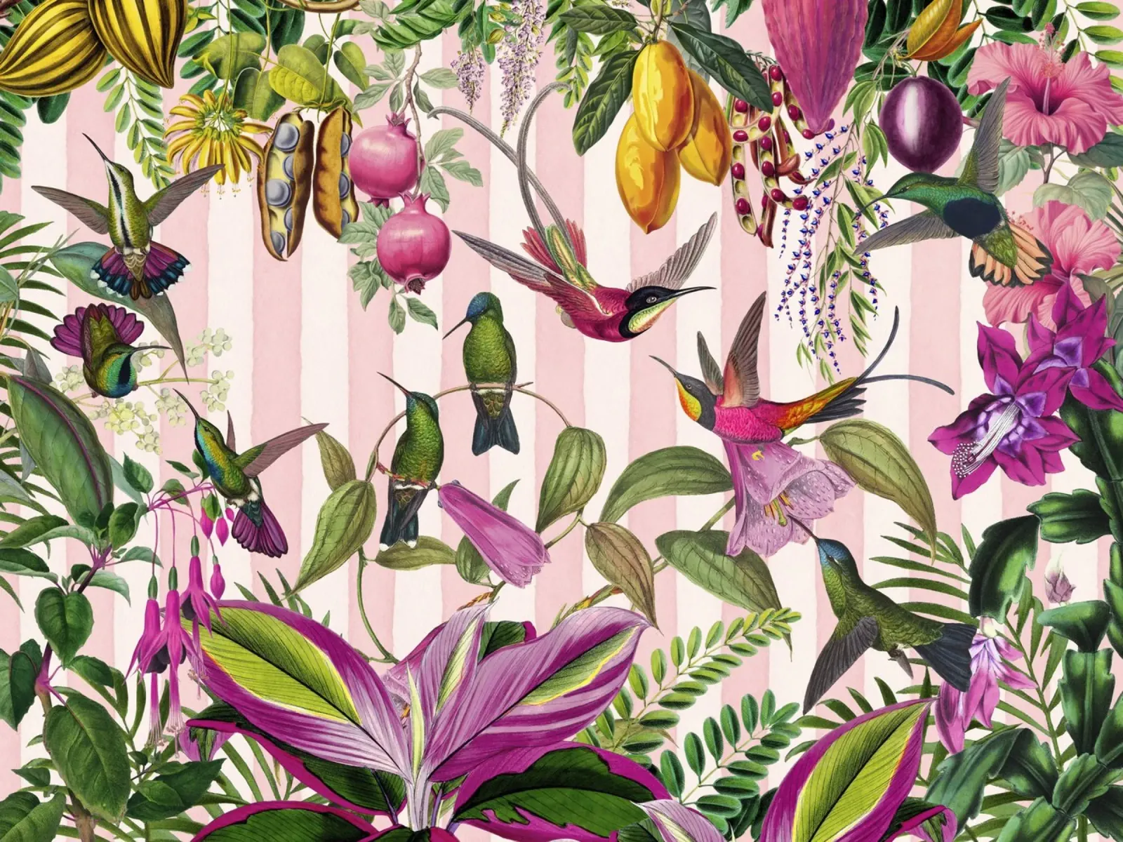 Paradiso esotico nascosto dei colibrì pellicola backlit da Andrea Haase Vintage World