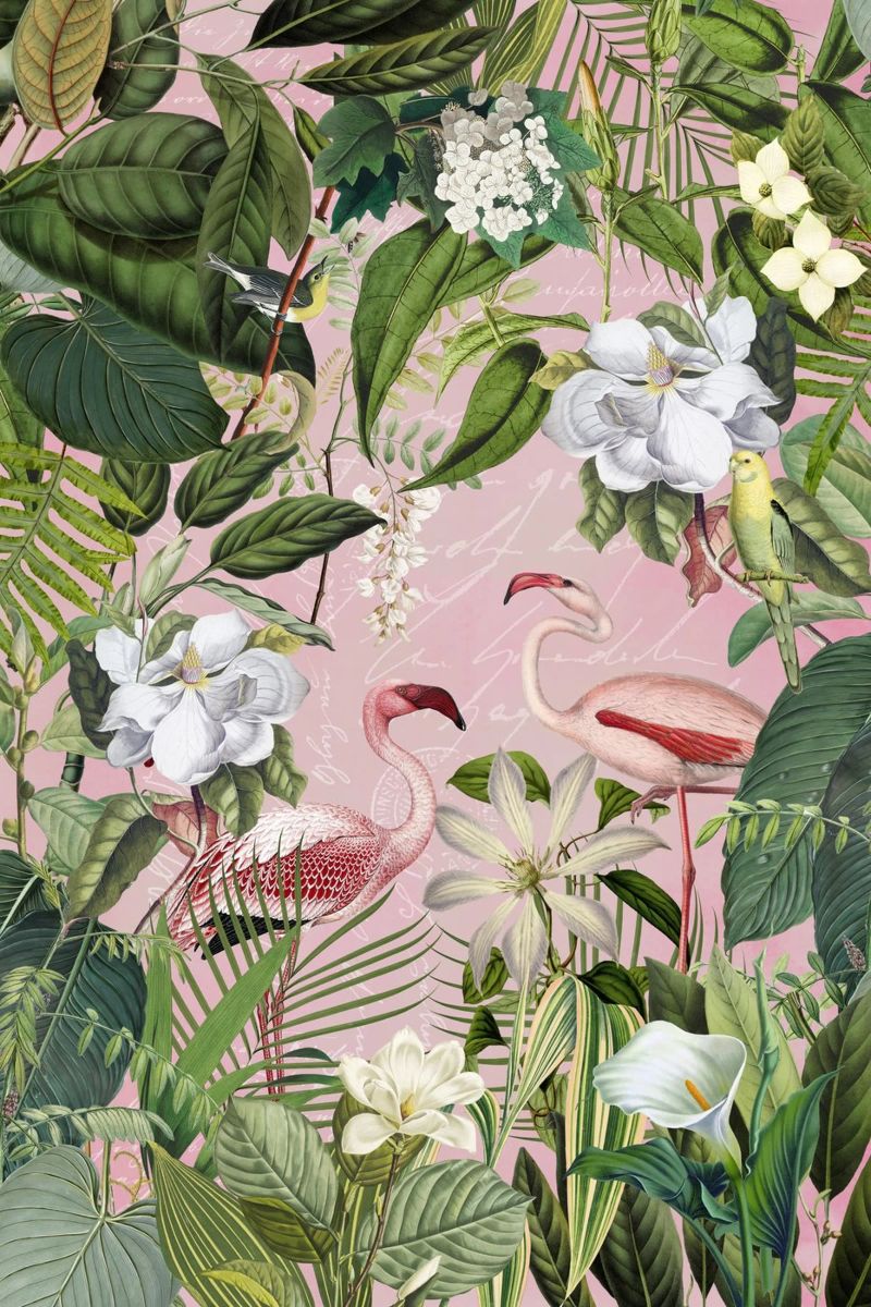 Flamingo Jungle Exotic Island poster de Andrea Haase Vintage World