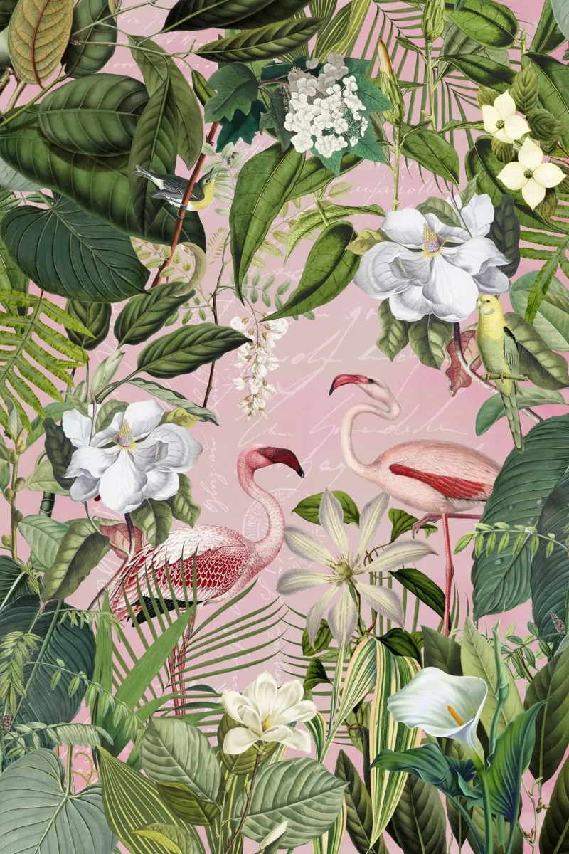 Giungla di fenicotteri Isola esotica poster da Andrea Haase Vintage World