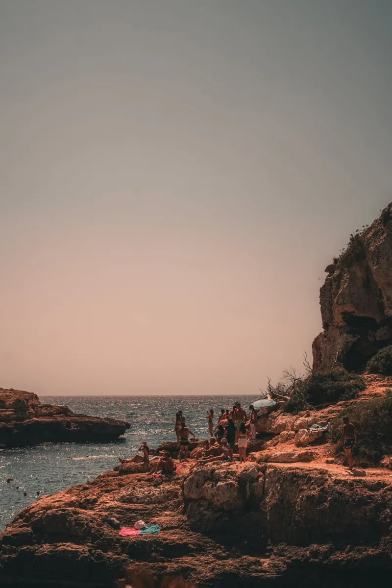 Sun-Drenched Shoreline forex plate by lieblu