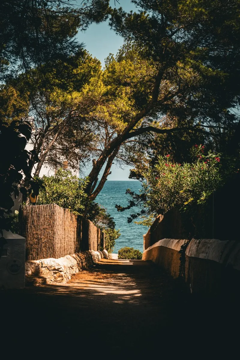 Whispers of the Sea hahnemühle by lieblu