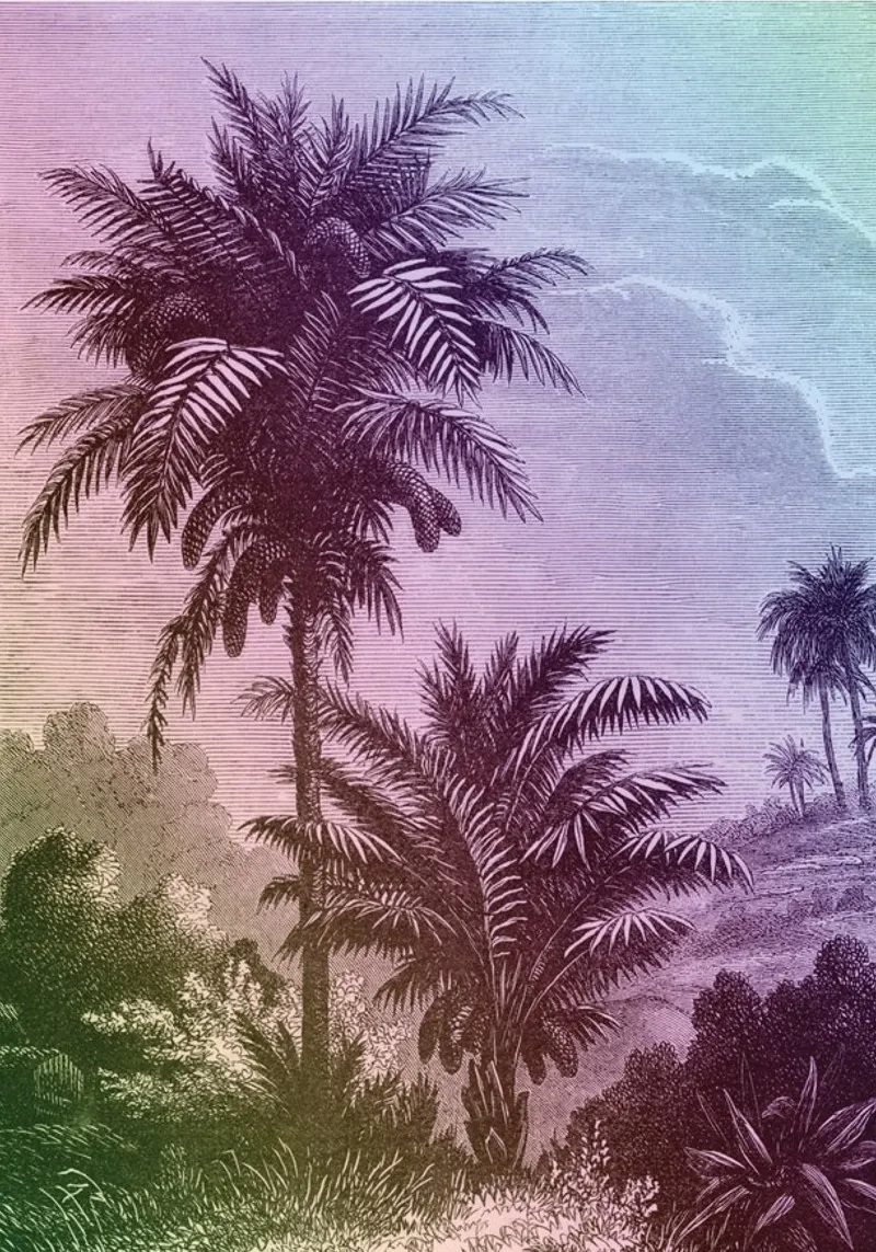 Palm Pop I | Press Play Art Print Remix canvas by Press Play Art Prints