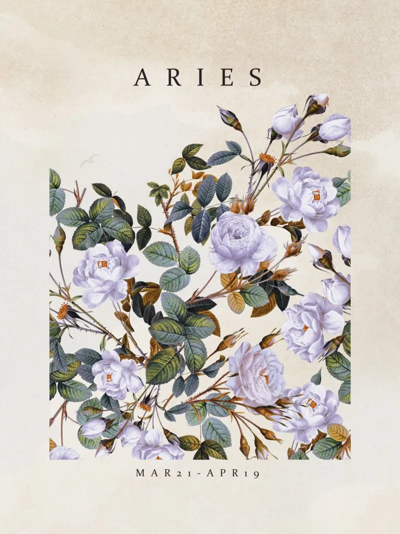 ARIES pellicola backlit da burcukorkmazyurek