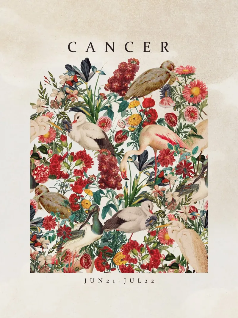 CANCER Hahnemühle von burcukorkmazyurek