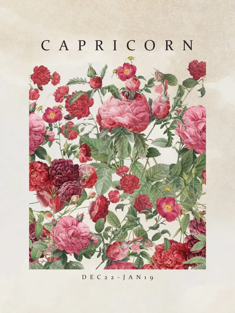 CAPRICORN plexiglass da burcukorkmazyurek