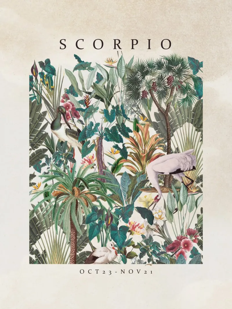 SCORPIO pellicola backlit da burcukorkmazyurek