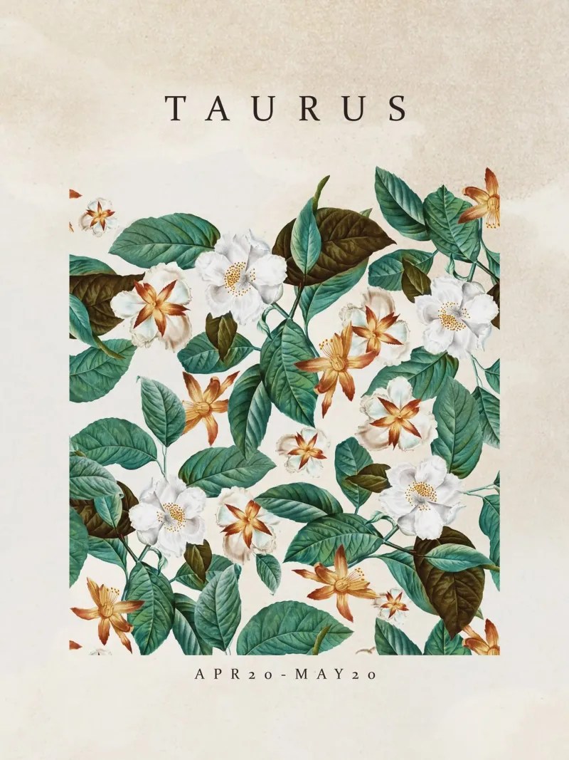 TAURUS pellicola backlit da burcukorkmazyurek