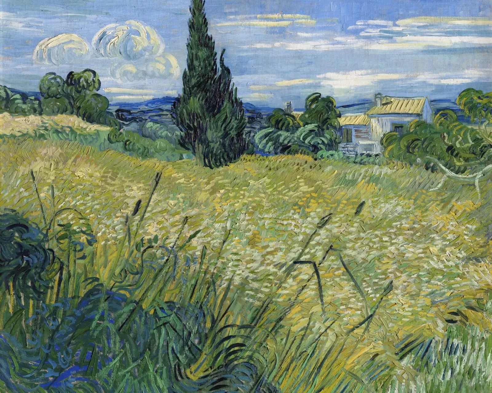 Green Wheat Field with Cypress (1889) canvas by Art History
