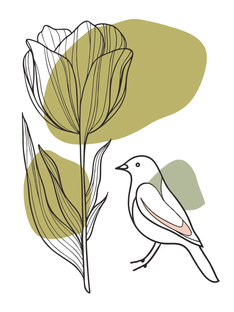 Tulipani e uccelli poster con telaio in plastica da RELAXING TOUCH