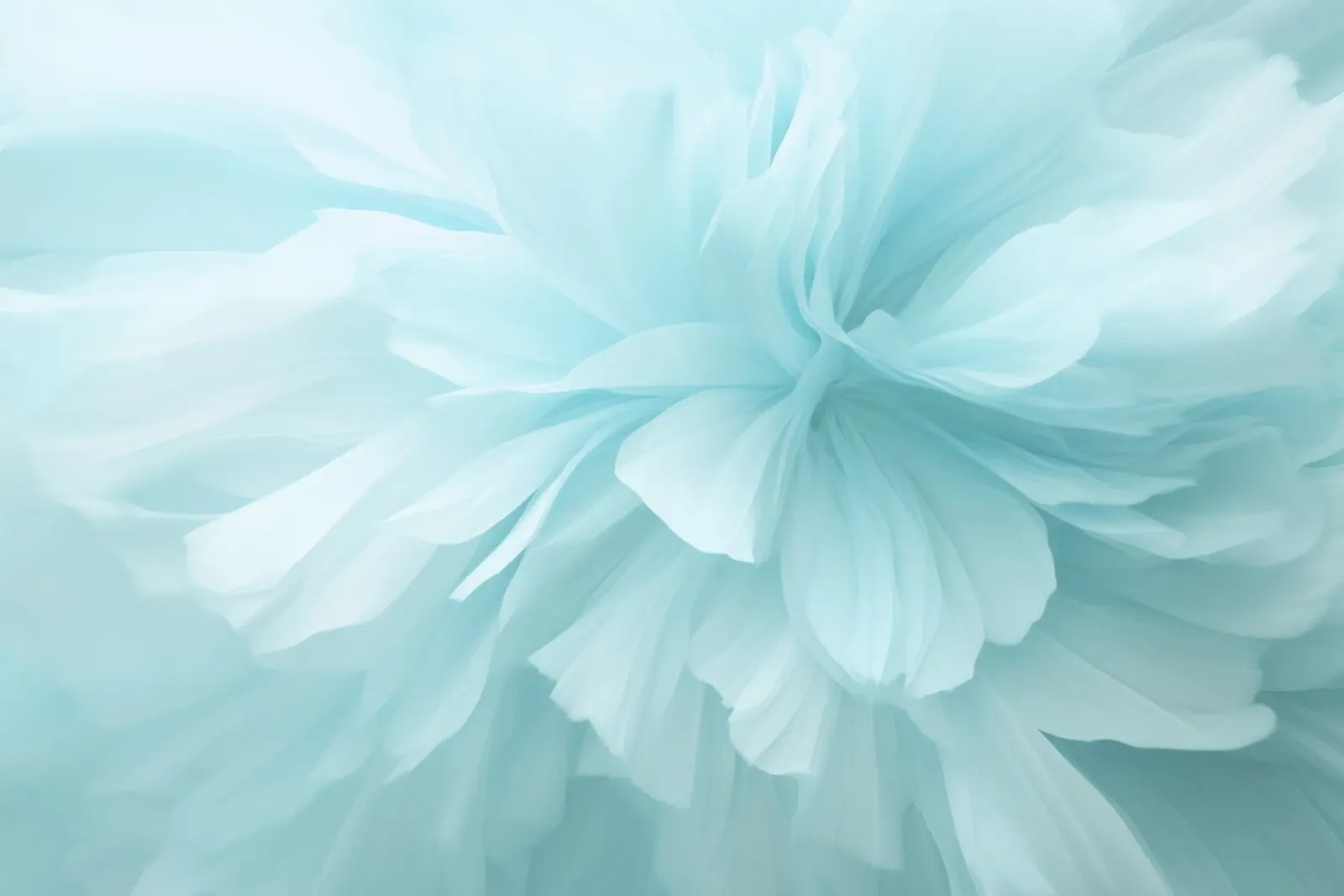 Bare Essence Bloom Pennellata astratta di fiori pellicola backlit da Andrea Haase Floral Passion