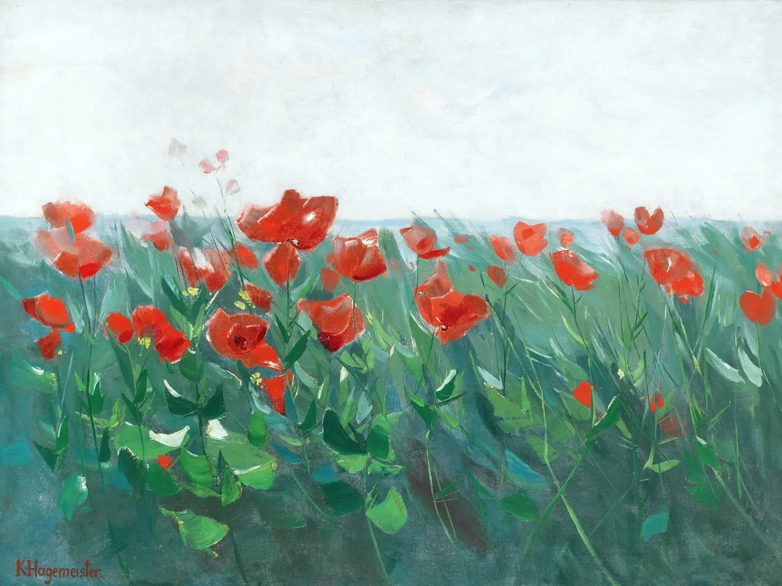 Red poppies on the lake shore poster da apoloprints