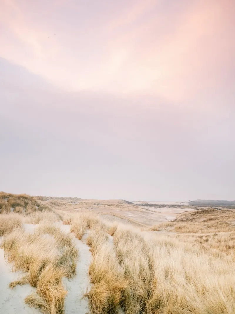 Ameland Dunes I Hahnemühle von Raisa Zwart
