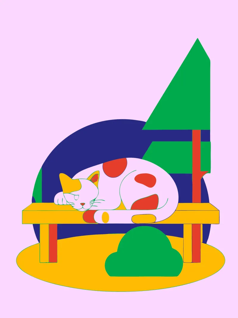 Gatto che dorme carta hahnemühle da OUR SHOP