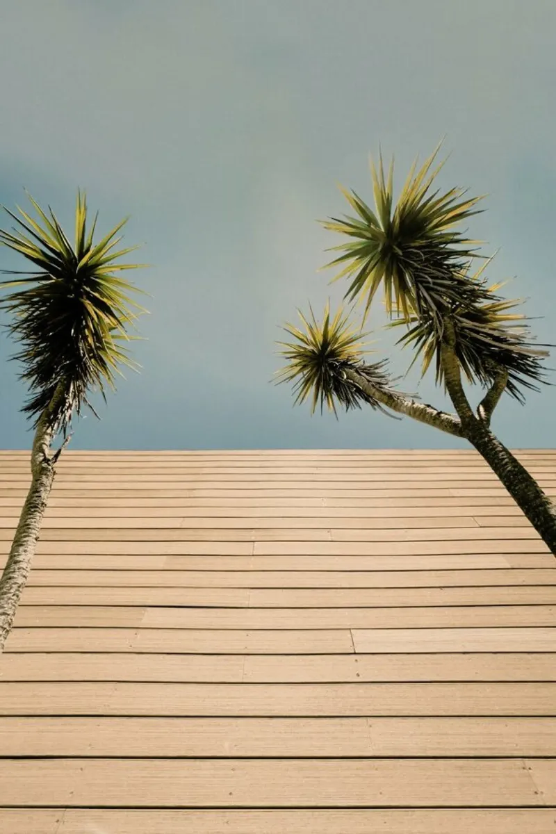 Retro Palms poster da Sebastian Hilgetag