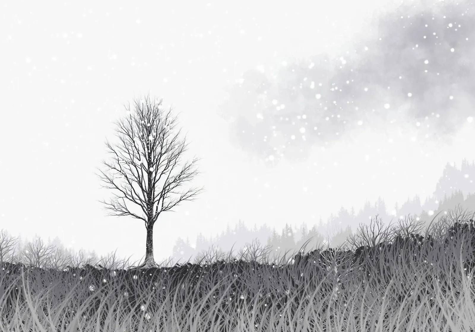 neve inverno pellicola backlit da NEW LIFE