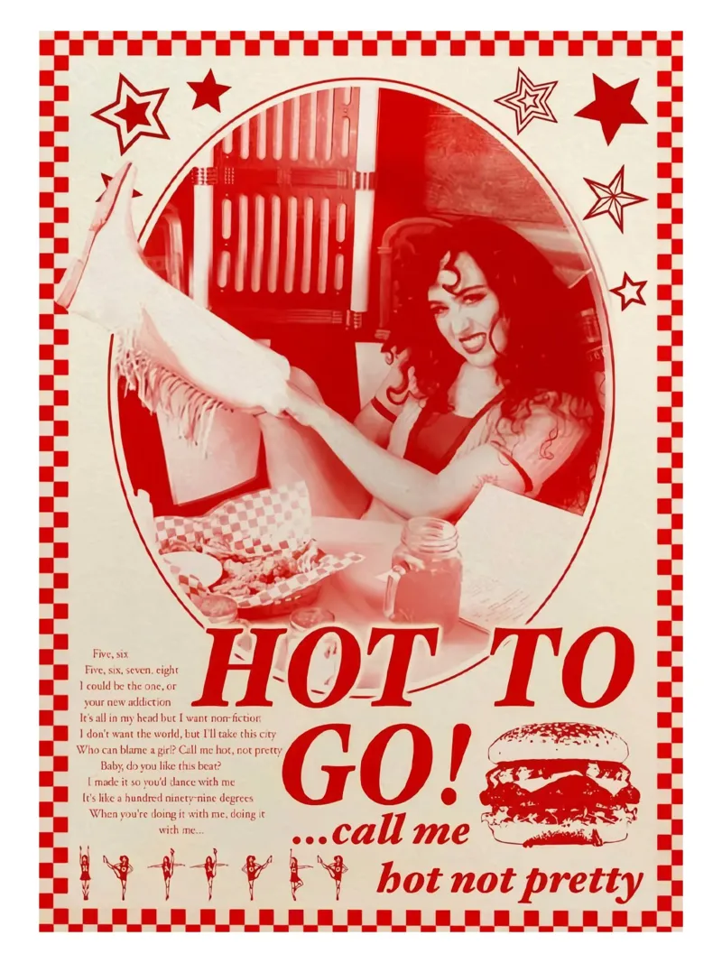 Hot To Go! chiamami bot non bella poster chappell roan alluminio dibond da ardala guller