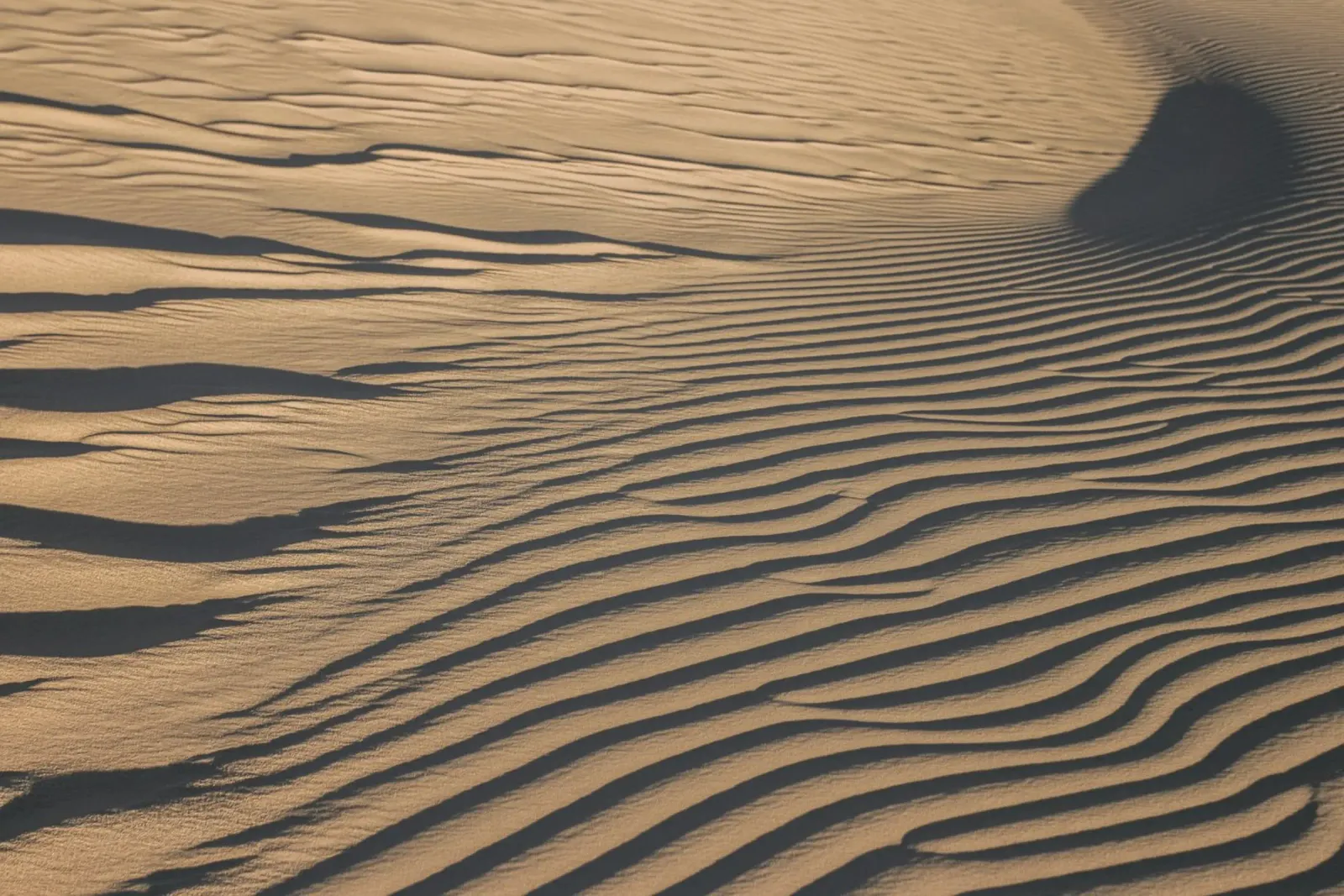 Art of Sand pellicola backlit da photolovers