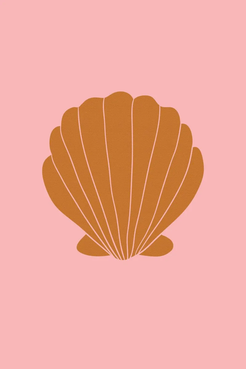 Burnt Orange Shell on Pink pellicola backlit da GraceDigitalArtCo