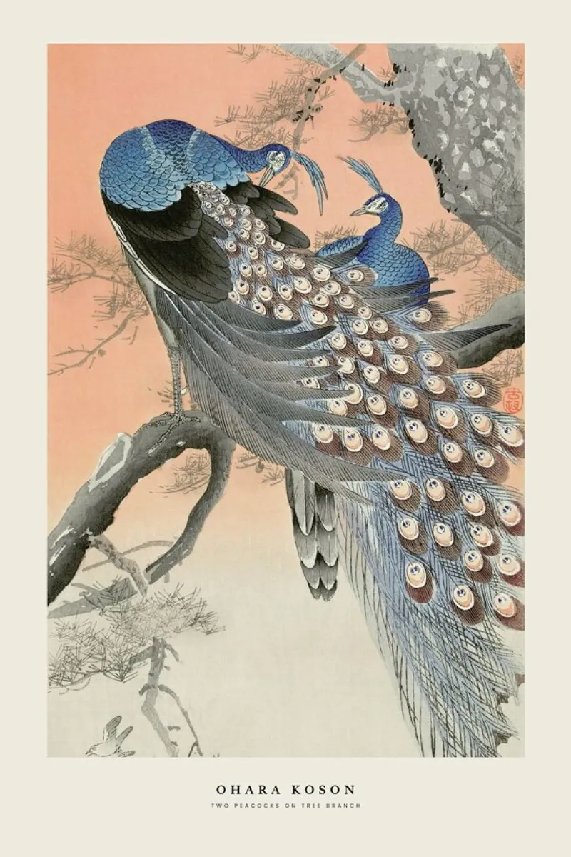 Koson - Two Peacocks on Tree Branch canvas by Vintage by JUNIQE