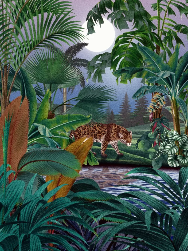 LEOPARD JUNGLE I pellicola backlit da burcukorkmazyurek