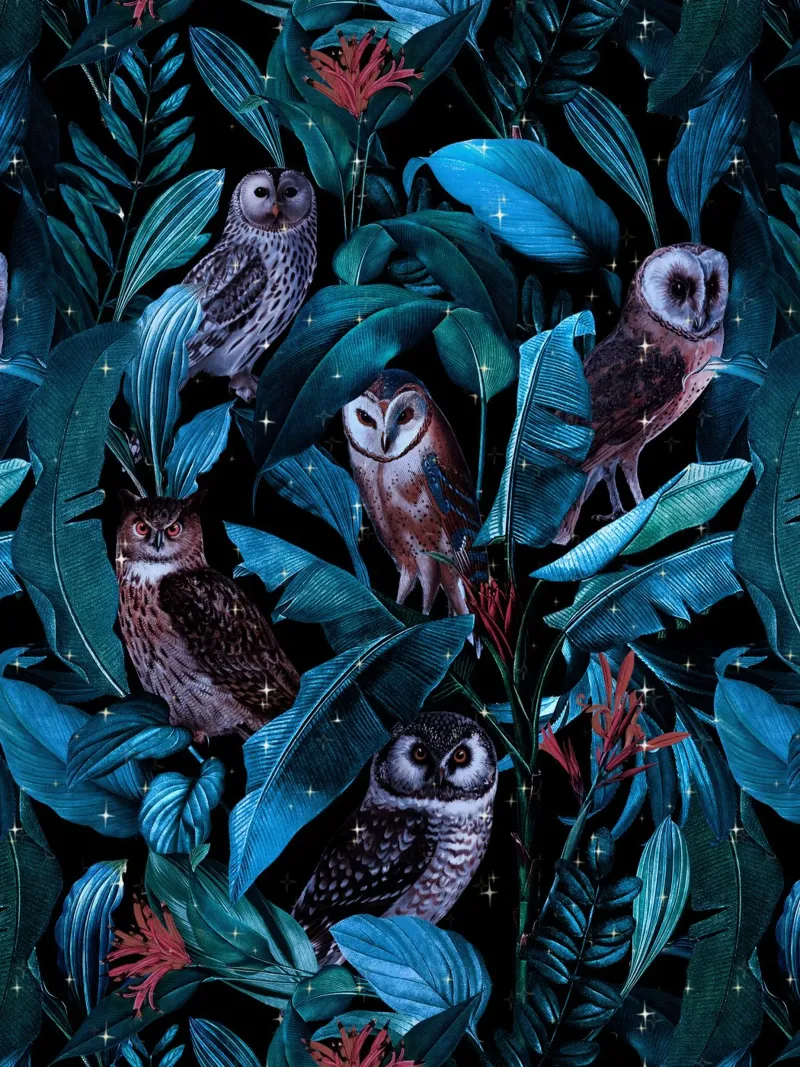 Owl and Leaf Garden pellicola backlit da burcukorkmazyurek