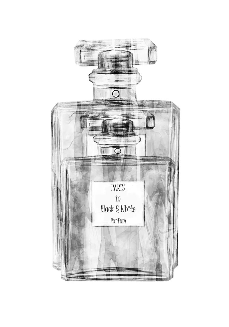 Parfum Paris In Black and White poster con telaio in legno da Sannel Larson