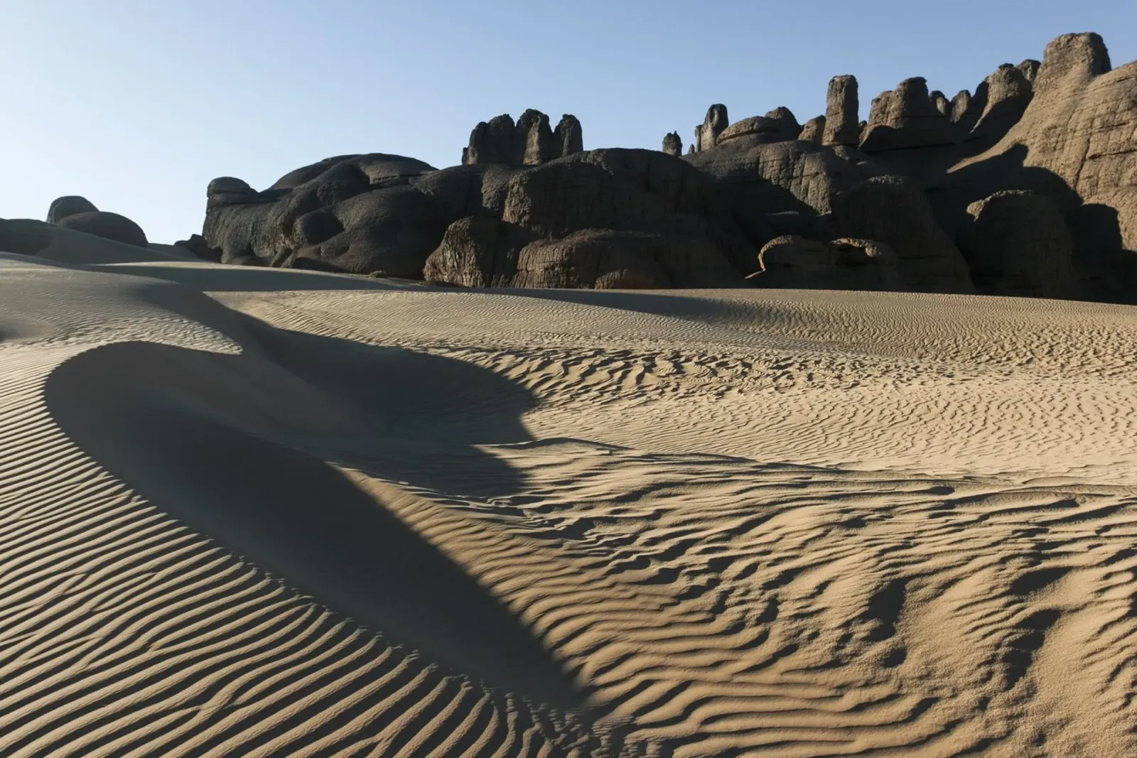 Sand dune and rocks in the Sahara alluminio dibond da photolovers