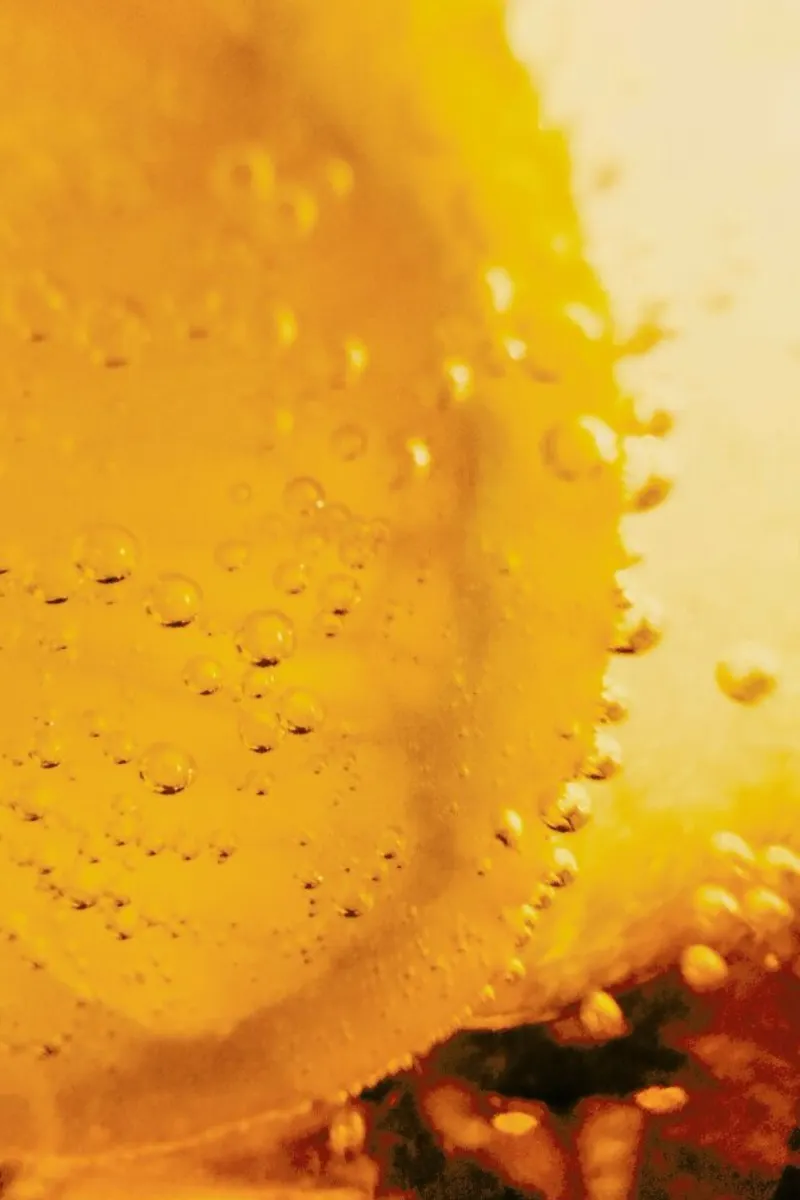Lemon Close Up alluminio dibond da Sebastian Hilgetag