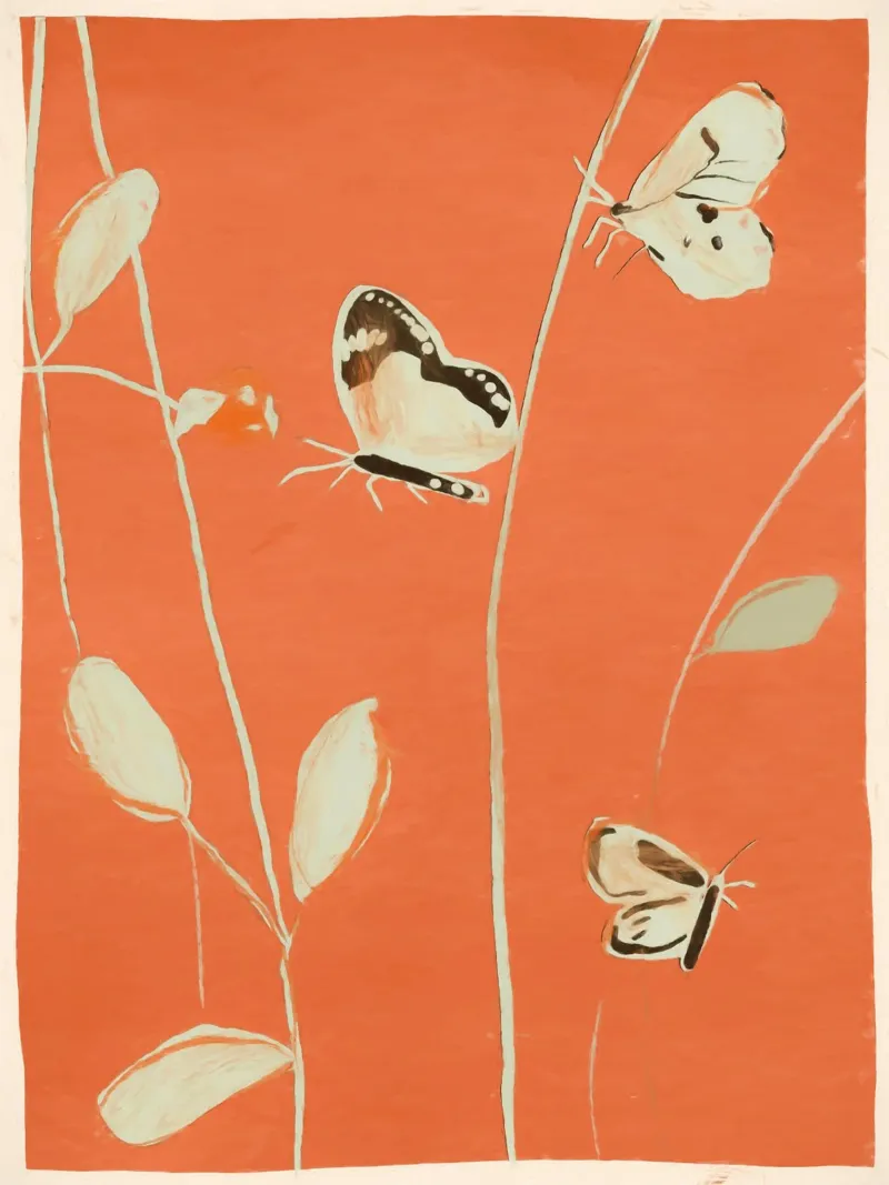 Vlinders 2 canvas met Baklijst van ThingDesign