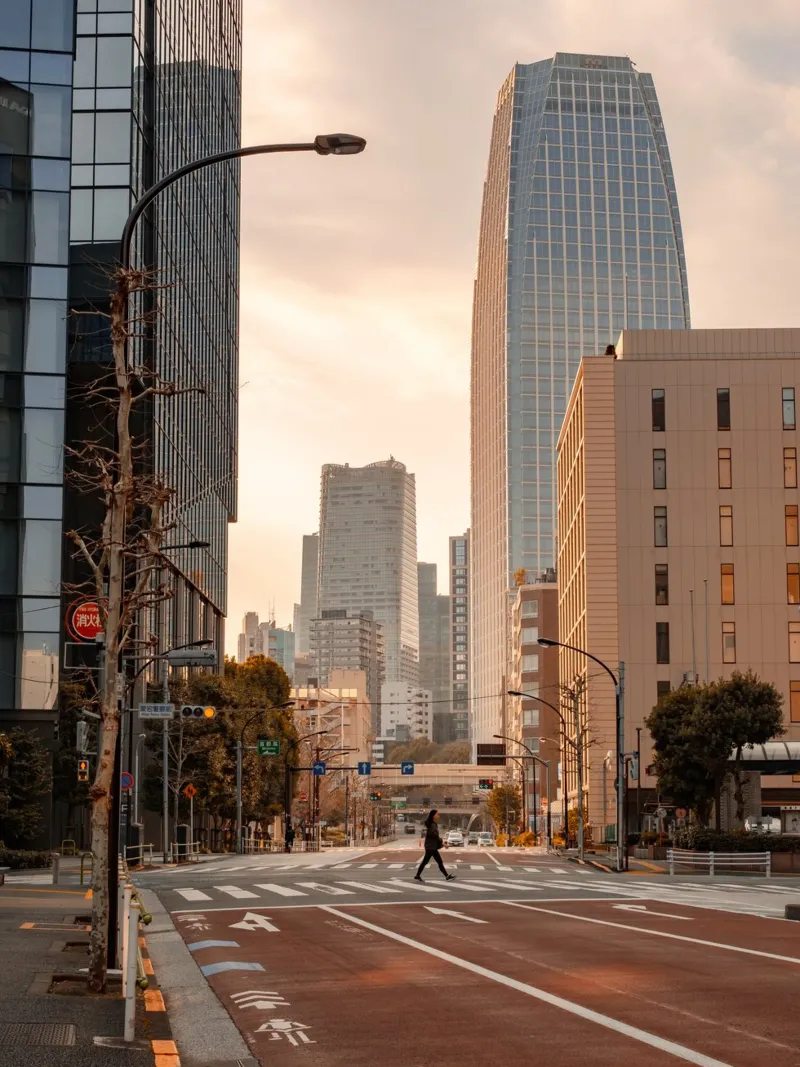 Eenzaam Tokio canvas met Baklijst van Marcel Bisig