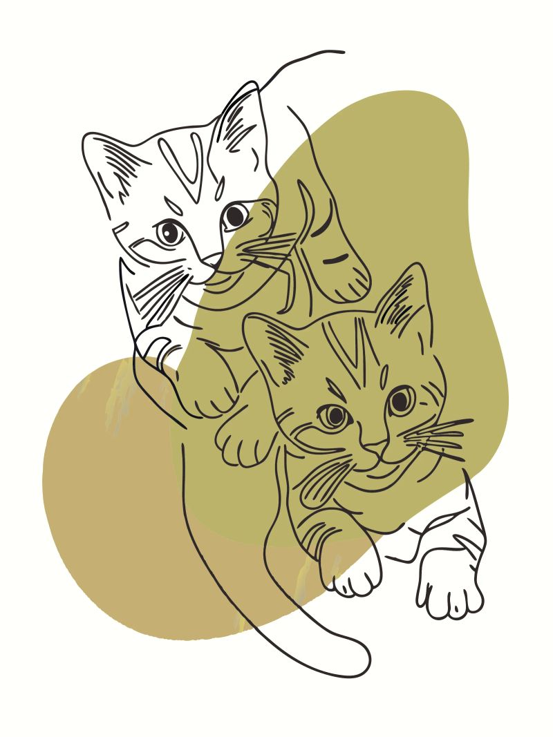 Zwei Kätzchen Poster von RELAXING TOUCH